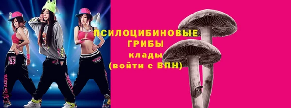 МДПВ Вязьма