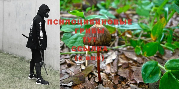 МДПВ Вязьма