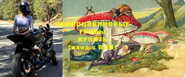 МДПВ Вязьма