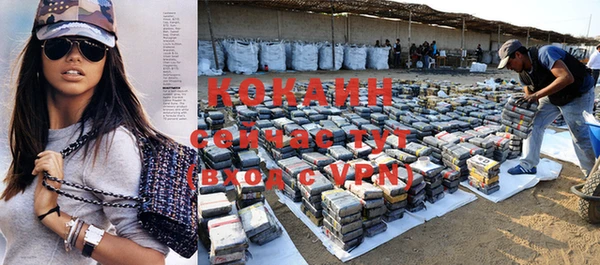 mdpv Горнозаводск